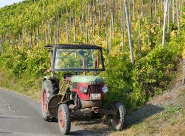 Érdemi segítség a szőlőtermelés számára a Közös Agrárpolitika Stratégiai Terv