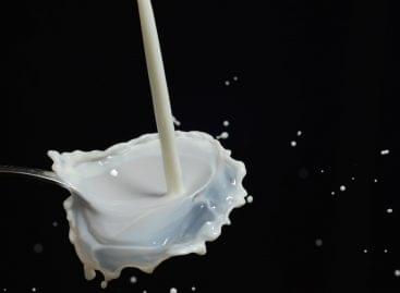 Nébih found contamination in the products of a dairy plant
