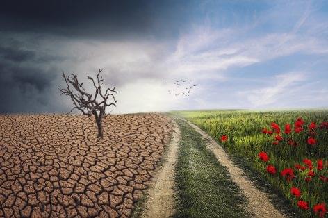 Áder János: a klímaválság elleni küzdelem technológiai váltással jár